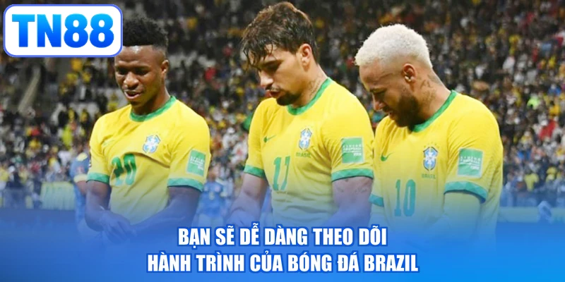 Bạn sẽ dễ dàng theo dõi hành trình của bóng đá Brazil
