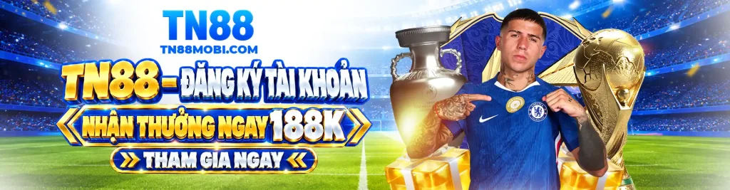 banner tn88