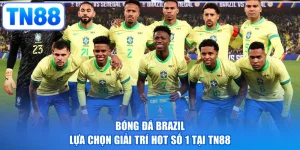Bóng Đá Brazil - Lựa Chọn Giải Trí HOT Số 1 Tại TN88