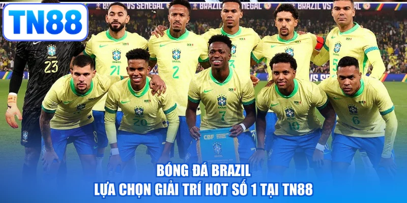 Bóng Đá Brazil - Lựa Chọn Giải Trí HOT Số 1 Tại TN88