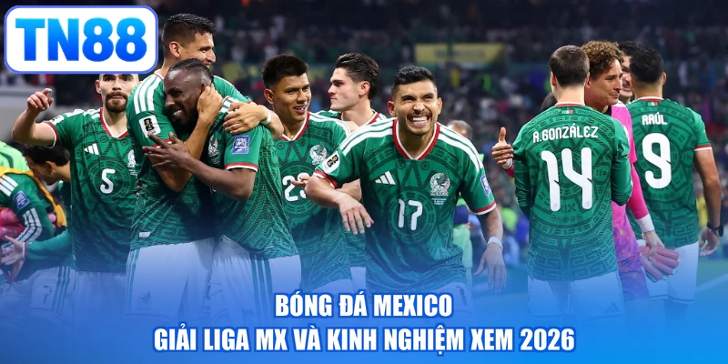 Bóng Đá Mexico | Giải Liga Mx Và Kinh Nghiệm Xem 2026