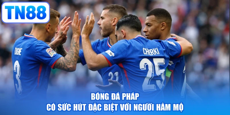 Bóng đá Pháp có sức hút đặc biệt với người hâm mộ