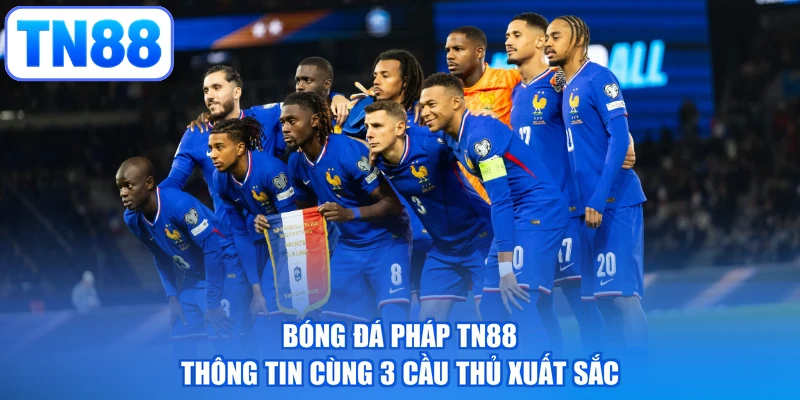 Bóng Đá Pháp TN88 - Thông Tin Cùng 3 Cầu Thủ Xuất Sắc