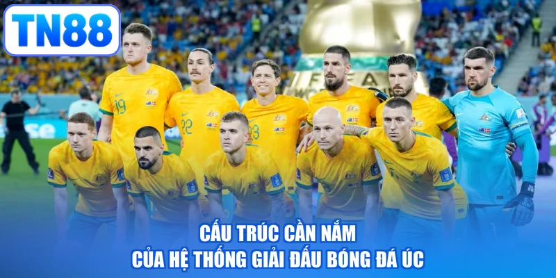 Cấu trúc cần nắm của hệ thống giải đấu bóng đá Úc