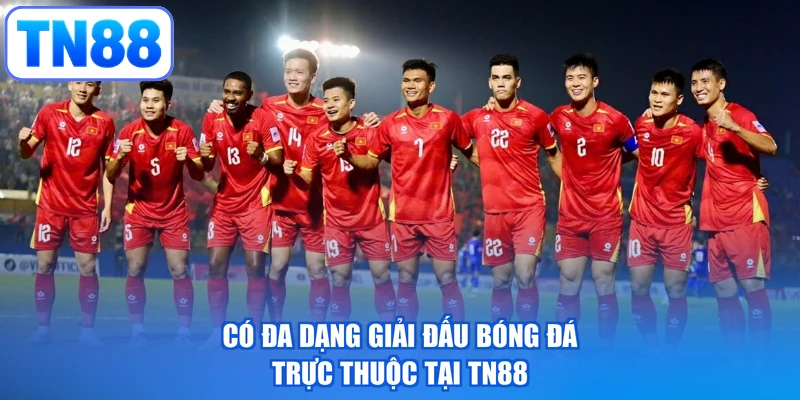 Có đa dạng giải đấu bóng đá trực thuộc tại TN88