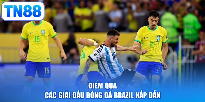 Điểm qua các giải đấu bóng đá Brazil hấp dẫn