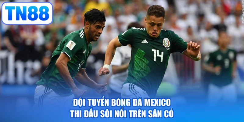 Đội tuyển bóng đá Mexico thi đấu sôi nổi trên sân cỏ