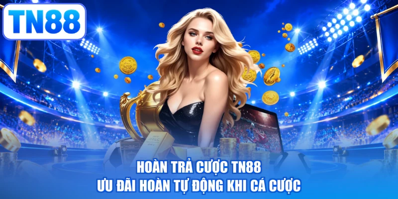 Hoàn Trả Cược TN88 - Ưu Đãi Hoàn Tự Động Khi Cá Cược