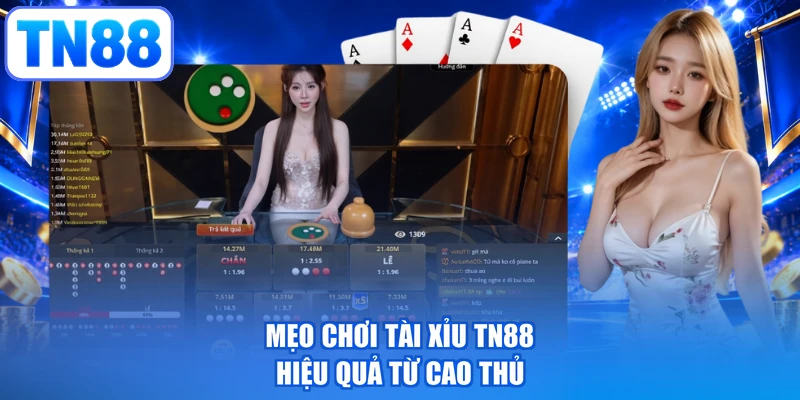 Mẹo chơi tài xỉu TN88 hiệu quả từ cao thủ