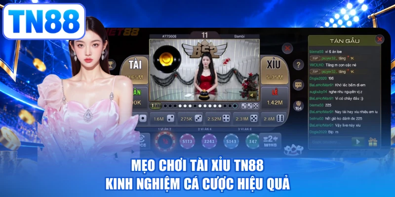 Mẹo Chơi Tài Xỉu TN88 - Kinh Nghiệm Cá Cược Hiệu Quả