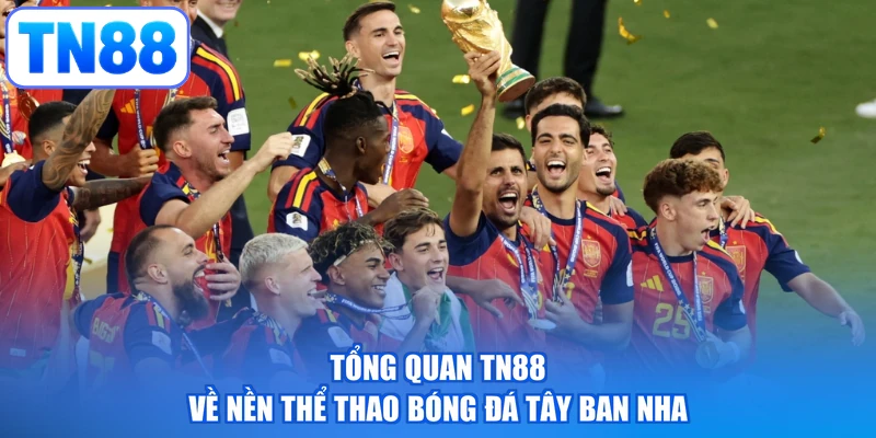 Tổng quan TN88 về nền thể thao bóng đá Tây Ban Nha